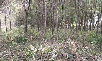 Imagem 3: Lote Pasárgada Terreno / lote com venda por R$370.000