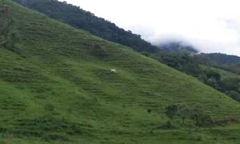 Imagem 5: Vendo fazenda em Cachoeiras de Macacu com 6 alqueires de terra