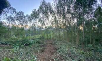 Imagem 7: 20 mil m2 com vista para a Pedra Azul