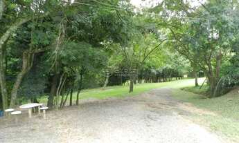 Imagem 7: Sitio para venda em Aparecidinha