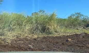 Imagem 5: FAZENDA DUPLA APTIDÃO A VENDA EM MARACAJU MS