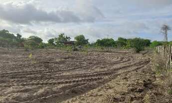 Imagem 5: Vendo terreno excelente para fazer uma chácara. 40m X 100m