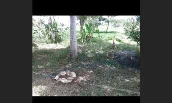 Imagem 3: Venda e troca terreno no povoado Pai Andre