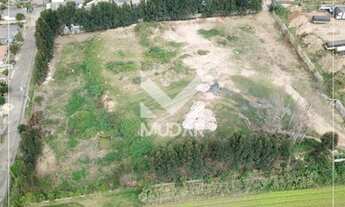 Imagem 7: Excelente Terreno Boa Vista