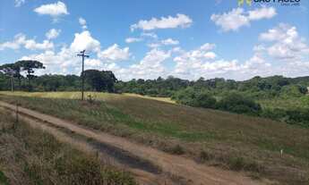 Imagem 4: Área à venda, 39481 m² por R$ 1.450.000,00 - Serrinha - Contenda/PR