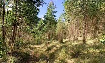 Imagem 5: Terreno 1000 metros para sitio em Igarata