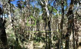 Imagem 6: Rancho Queimado - Terreno Padrão - Queimada Grande