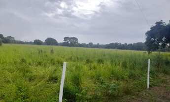 Imagem 2: Fazenda/Sítio/Chácara para venda com 566 metros quadrados em s - Santa Rita do Tocantins