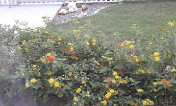 Imagem 5: Linda casa mobiliada em condominio