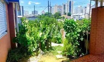 Imagem 3: São Paulo - Casa Padrão - Moema