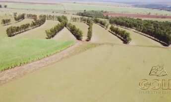 Imagem: FAZENDA A VENDA PRÓXIMO A PARANACITY PR