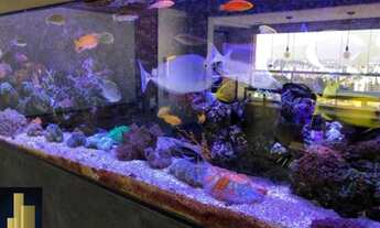 Imagem 6: COBERTURA 3 DORMITÓRIOS A VENDA NO MORUMBI