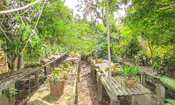 Imagem 7: FLORIANóPOLIS - Casa Padrão - Capoeiras