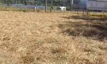 Imagem 2: Terreno Industrial em Mirassol ( Rodovia Euclides da Cunha