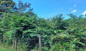 Imagem: Terreno Benevides