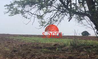 Imagem 5: Excelente Propriedade Rural Taquaritinga-SP