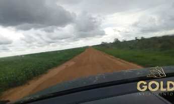 Imagem 6: FAZENDA A VENDA NA REGIÃO DE CAMPO VERDE MT