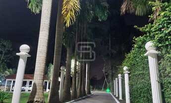 Imagem 3: Oportunidade! Chácara na Bratislava com 5000 m²