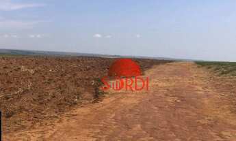 Imagem: Excelente Propriedade Rural Taquaritinga-SP