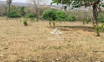 Imagem 4: FAZENDA PARA VENDA EM POXORÉO - MT (CÓD. 256