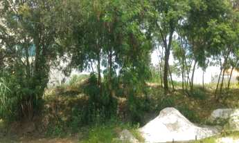 Imagem: Volta Redonda - Terreno Padrão - MATA ATLÂNTICA