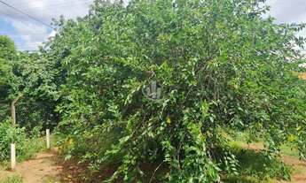 Imagem 2: ARARAQUARA - COMERCIAL - JARDIM ROBERTO SELMI DEI