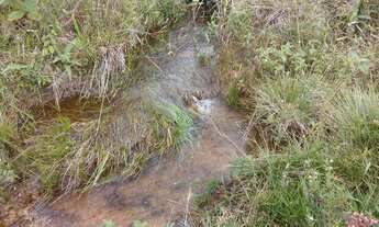 Imagem 3: Sitio munis freire 5 alqueirers