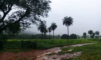 Imagem 7: Fazenda 370 Alqueires 67 Km de Formosa