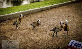 Imagem 6: Casa à venda, 435 m² por R$ 1.810.000,00 - Condomínio Estância Marambaia - Vinhedo/SP