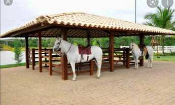 Imagem 6: Haras Residence 704 m2 no