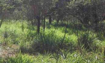 Imagem 3: Chácara de 5.000m² a 500m² do asfalto, São Jose do Almeida (Temos varias opções)