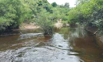 Imagem 7: Lindíssimos Terrenos de 20.000 m² com Rio no fundo - Financio FSR47