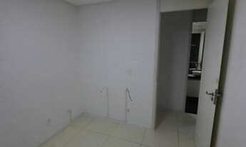 Imagem 3: Jardim das Margaridas com 2