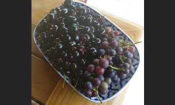 Imagem 3: Oportunidade! Paraíso em Santa Teresa!