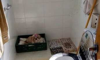 Imagem 4: CASA - VILA YOLANDA