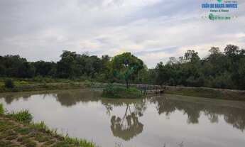 Imagem 5: PALMEIRAS - Chácara - Distrito de Palmeiras