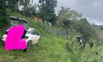 Imagem: Sítio,terreno,fazenda