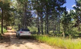 Imagem 2: TERRENO RESIDENCIAL em Serra Negra - SP, Bairro das Posses