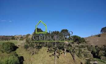 Imagem 6: RANCHO QUEIMADO - Terreno Padrão - Rio dos Quatis