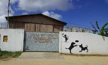 Imagem 3: PORTO ALEGRE - Galpão/Depósito/Armazém - ABERTA DOS MORROS