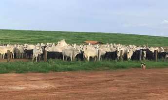 Imagem 2: VENDA Fazenda / sítio com venda por R$80.000.000