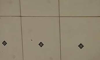 Imagem 3: Vendo apartamento térreo jardim inga