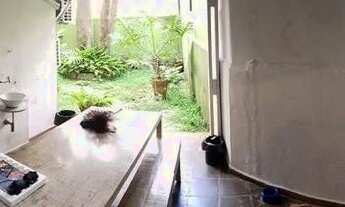 Imagem 3: Casa comercial 371 m2 próximo shopping e praça buenos aires