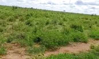 Imagem 3: FAZENDA A VENDA EM SANTANA DO ARAGUAIA PA