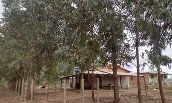 Imagem 3: Chácara em Dois Riachos