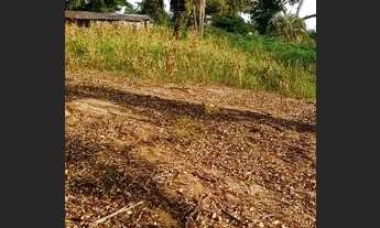 Imagem 7: Velleda oferece belíssimo sítio 4000m², com casa e galpão, na Águas Claras