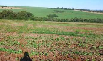 Imagem 5: Sitio em uberaba 24 alqueirão 12.000.000.00 ( ja
