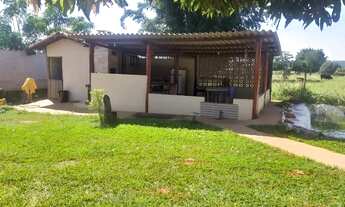 Imagem 3: 1 arqueiro na vila azul São José do Rio Preto