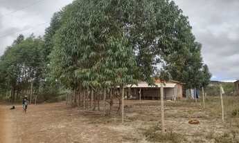 Imagem 2: Chácara em Dois Riachos