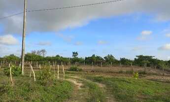 Imagem 3: Vendo terreno excelente para fazer uma chácara. 40m X 100m